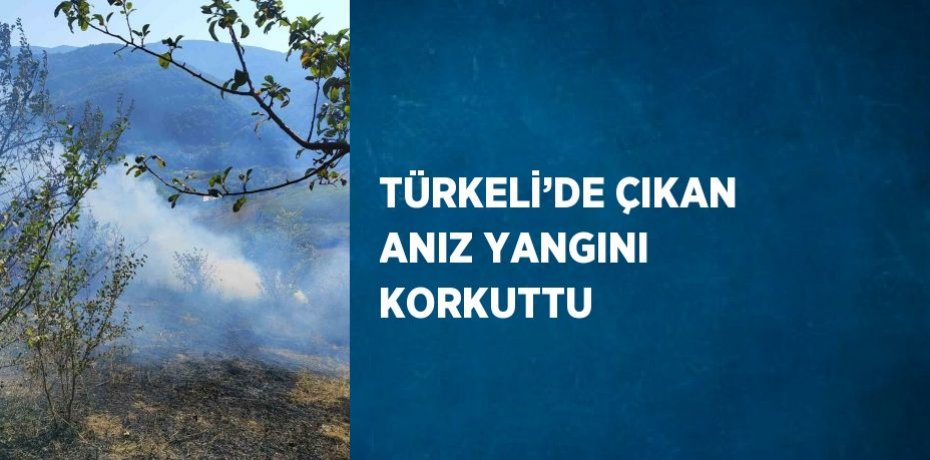 TÜRKELİ’DE ÇIKAN ANIZ YANGINI KORKUTTU