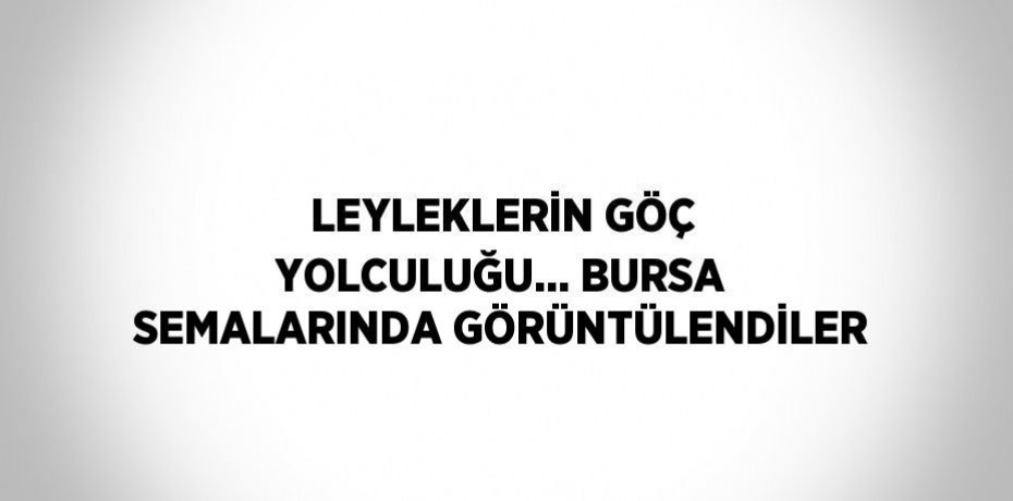 LEYLEKLERİN GÖÇ YOLCULUĞU... BURSA SEMALARINDA GÖRÜNTÜLENDİLER