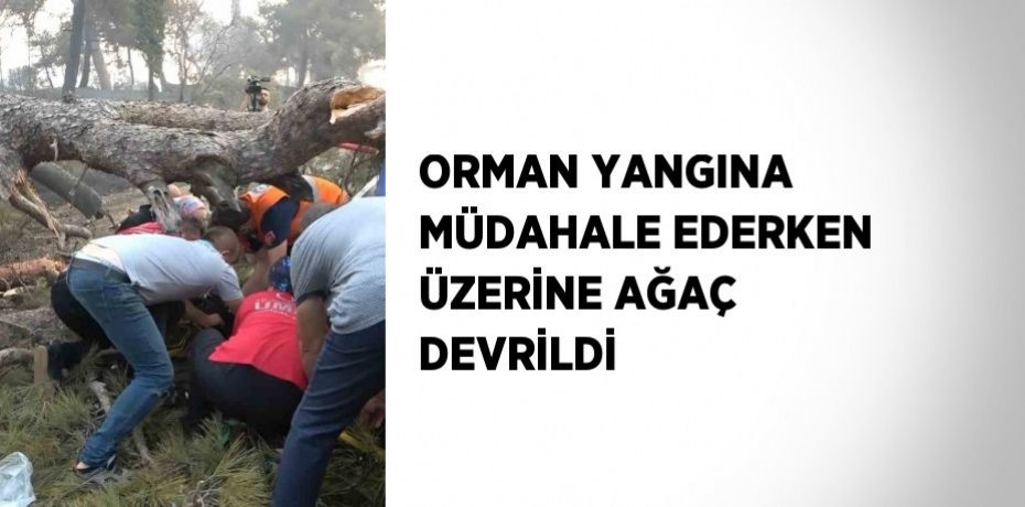 ORMAN YANGINA MÜDAHALE EDERKEN ÜZERİNE AĞAÇ DEVRİLDİ