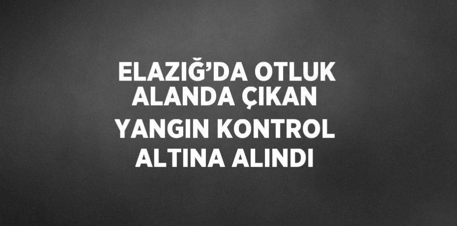 ELAZIĞ’DA OTLUK ALANDA ÇIKAN YANGIN KONTROL ALTINA ALINDI