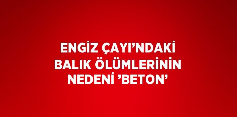 ENGİZ ÇAYI’NDAKİ BALIK ÖLÜMLERİNİN NEDENİ ’BETON’
