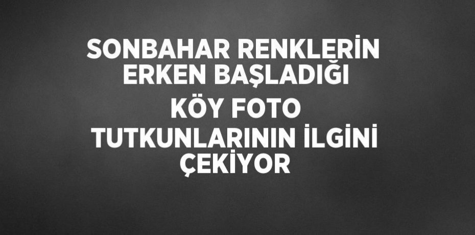 SONBAHAR RENKLERİN ERKEN BAŞLADIĞI KÖY FOTO TUTKUNLARININ İLGİNİ ÇEKİYOR