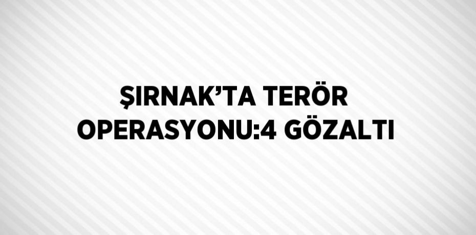 ŞIRNAK’TA TERÖR OPERASYONU:4 GÖZALTI