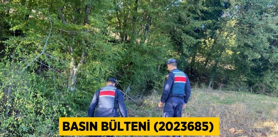 Basın Bülteni (2023685)