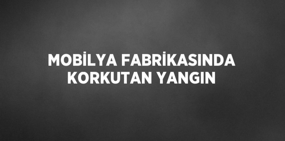MOBİLYA FABRİKASINDA KORKUTAN YANGIN
