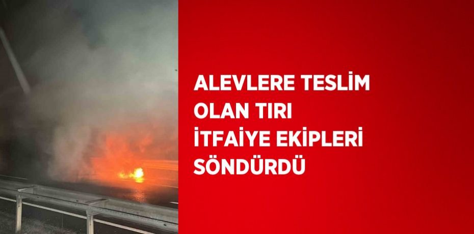 ALEVLERE TESLİM OLAN TIRI İTFAİYE EKİPLERİ SÖNDÜRDÜ