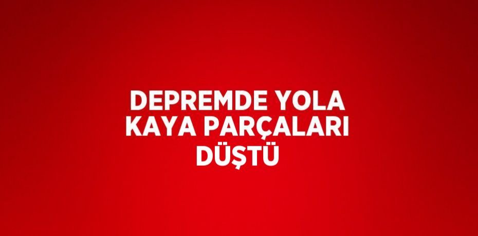 DEPREMDE YOLA KAYA PARÇALARI DÜŞTÜ