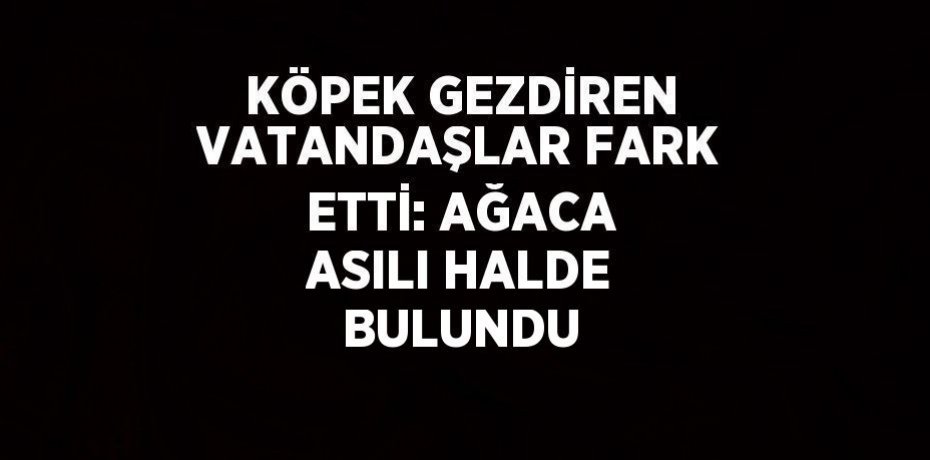 KÖPEK GEZDİREN VATANDAŞLAR FARK ETTİ: AĞACA ASILI HALDE BULUNDU