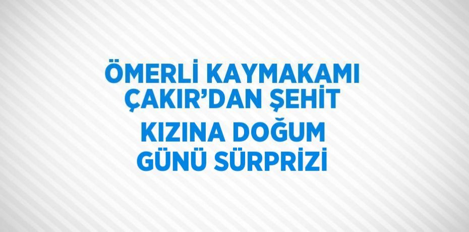 ÖMERLİ KAYMAKAMI ÇAKIR’DAN ŞEHİT KIZINA DOĞUM GÜNÜ SÜRPRİZİ