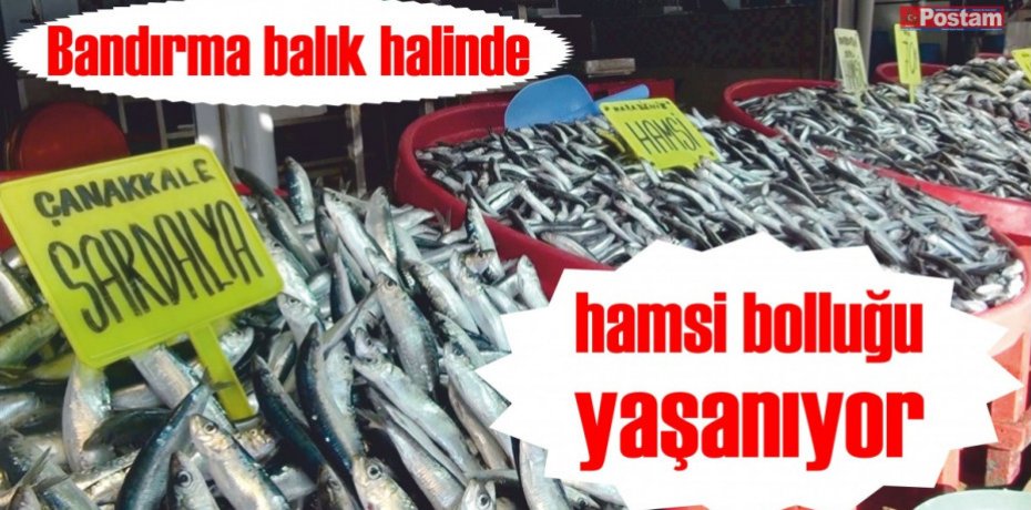 Bandırma balık halinde hamsi bolluğu yaşanıyor