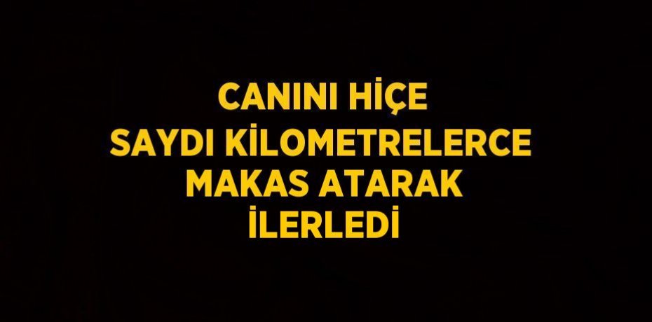 CANINI HİÇE SAYDI KİLOMETRELERCE MAKAS ATARAK İLERLEDİ
