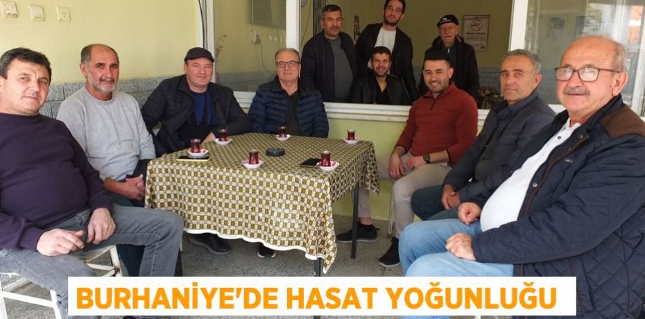 Burhaniye’de hasat yoğunluğu 