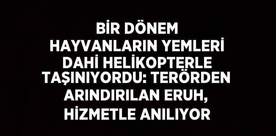 BİR DÖNEM HAYVANLARIN YEMLERİ DAHİ HELİKOPTERLE TAŞINIYORDU: TERÖRDEN ARINDIRILAN ERUH, HİZMETLE ANILIYOR