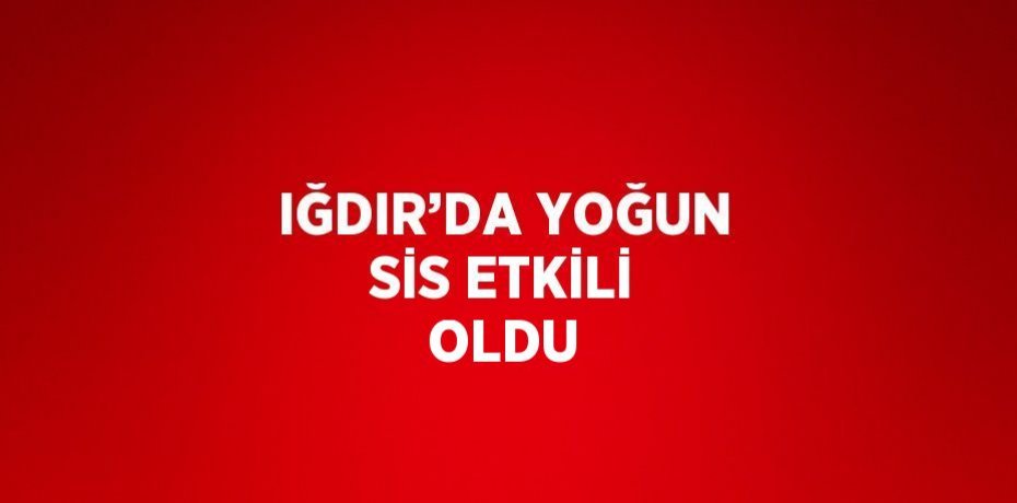 IĞDIR’DA YOĞUN SİS ETKİLİ OLDU