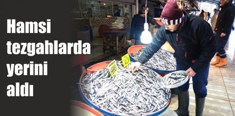 Hamsi tezgahlarda yerini aldı