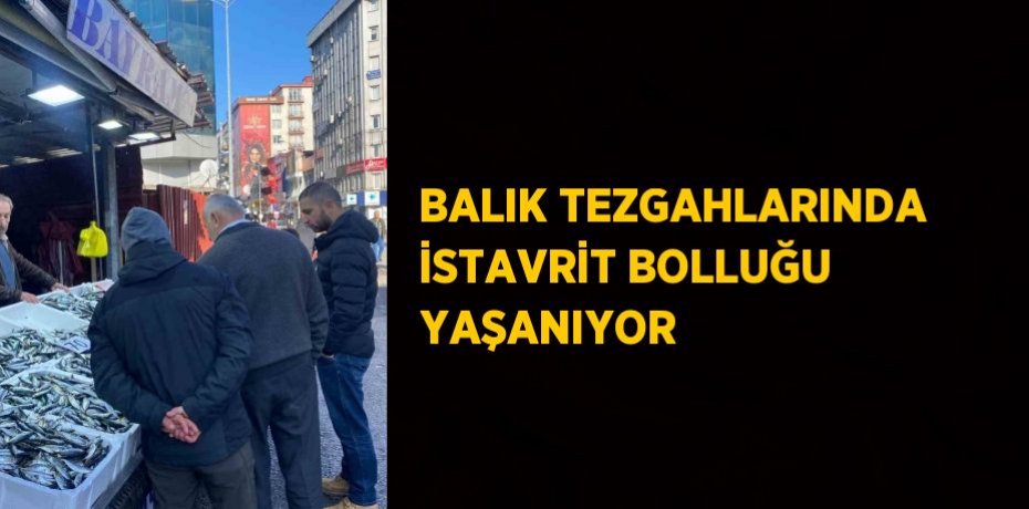 BALIK TEZGAHLARINDA İSTAVRİT BOLLUĞU YAŞANIYOR