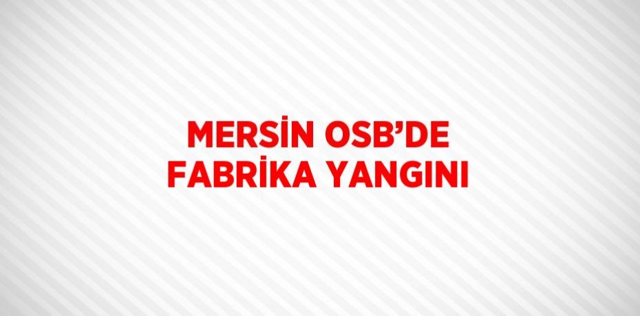 MERSİN OSB’DE FABRİKA YANGINI