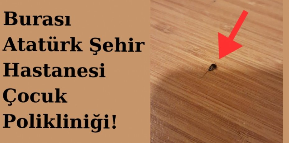 Hijyene dikkat ediliyor mu?