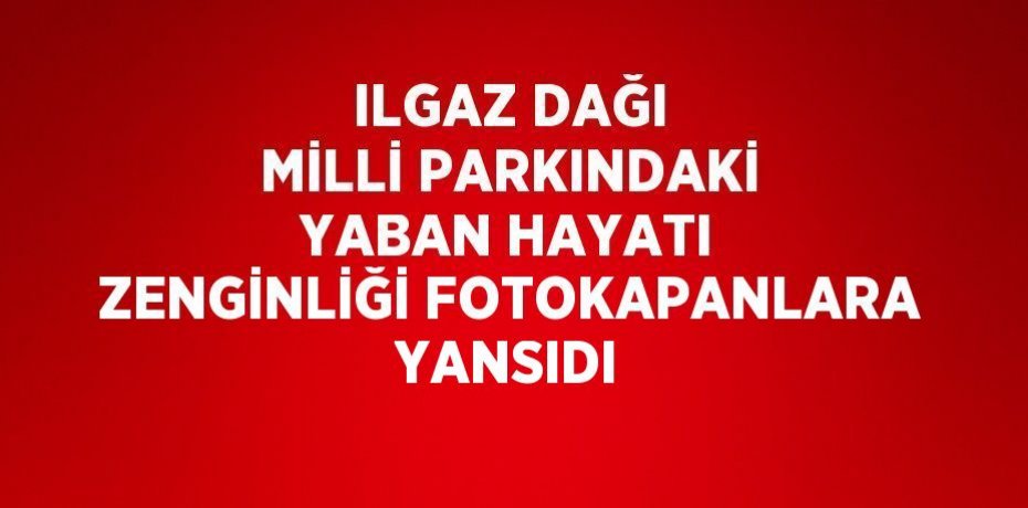 ILGAZ DAĞI MİLLİ PARKINDAKİ YABAN HAYATI ZENGİNLİĞİ FOTOKAPANLARA YANSIDI