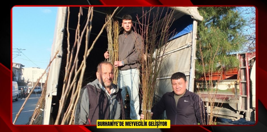 Burhaniye’de meyvecilik gelişiyor  