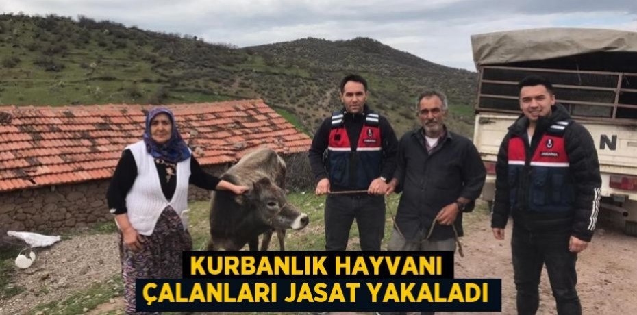 Kurbanlık hayvanı çalanları JASAT yakaladı