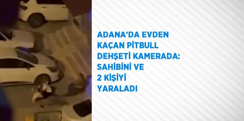ADANA’DA EVDEN KAÇAN PİTBULL DEHŞETİ KAMERADA: SAHİBİNİ VE 2 KİŞİYİ YARALADI
