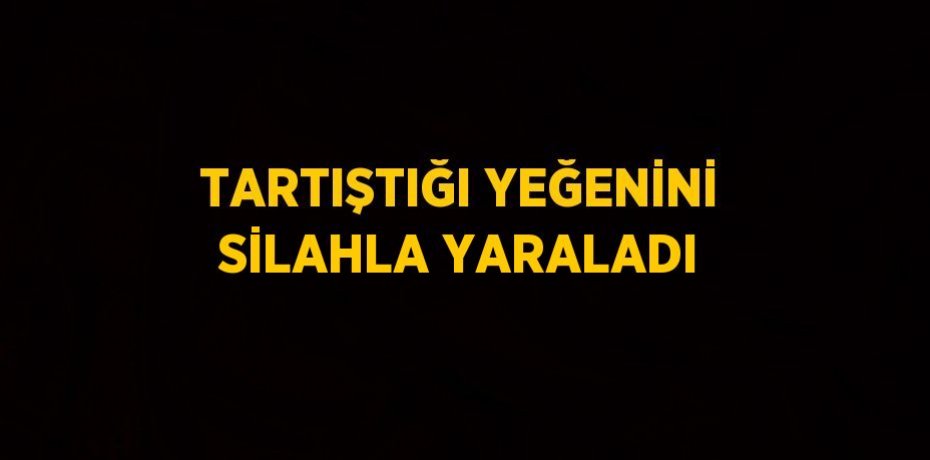 TARTIŞTIĞI YEĞENİNİ SİLAHLA YARALADI