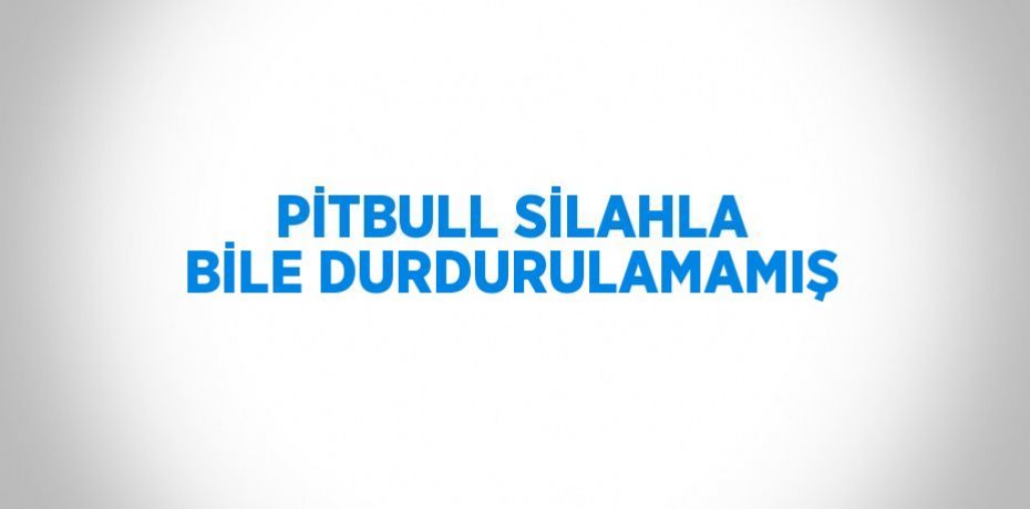 PİTBULL SİLAHLA BİLE DURDURULAMAMIŞ