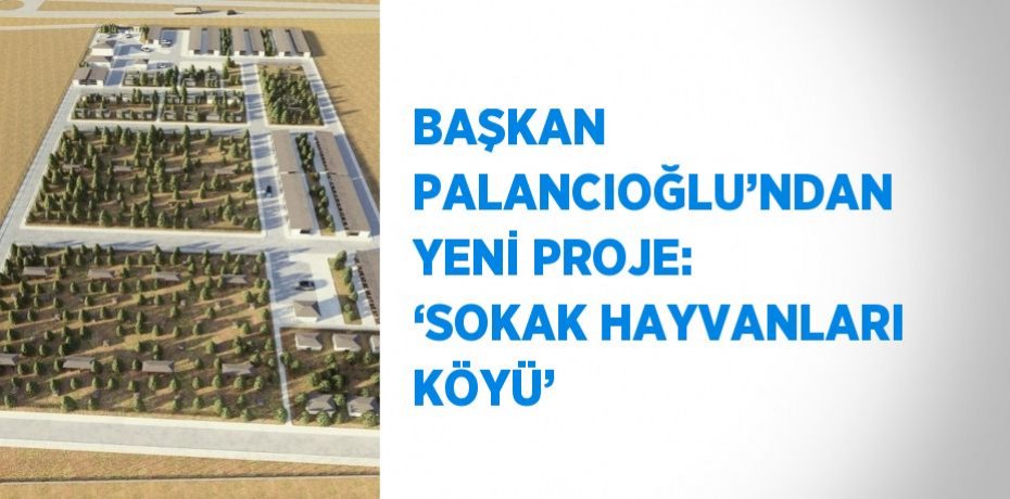BAŞKAN PALANCIOĞLU’NDAN YENİ PROJE: ‘SOKAK HAYVANLARI KÖYÜ’