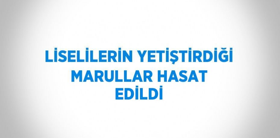 LİSELİLERİN YETİŞTİRDİĞİ MARULLAR HASAT EDİLDİ