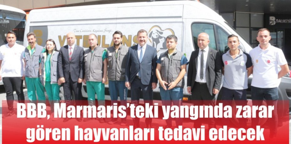 BBB, Marmaris’teki yangında zarar gören hayvanları tedavi edecek