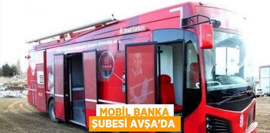 Mobil banka şubesi Avşa'da