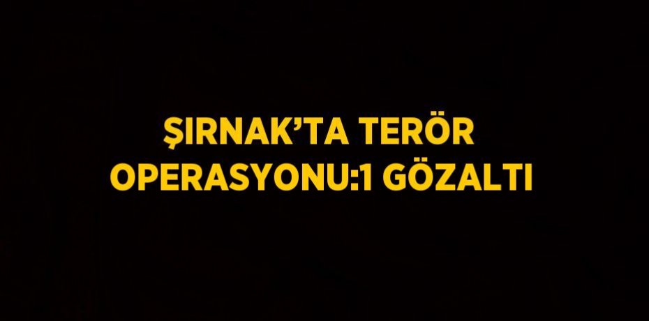 ŞIRNAK’TA TERÖR OPERASYONU:1 GÖZALTI
