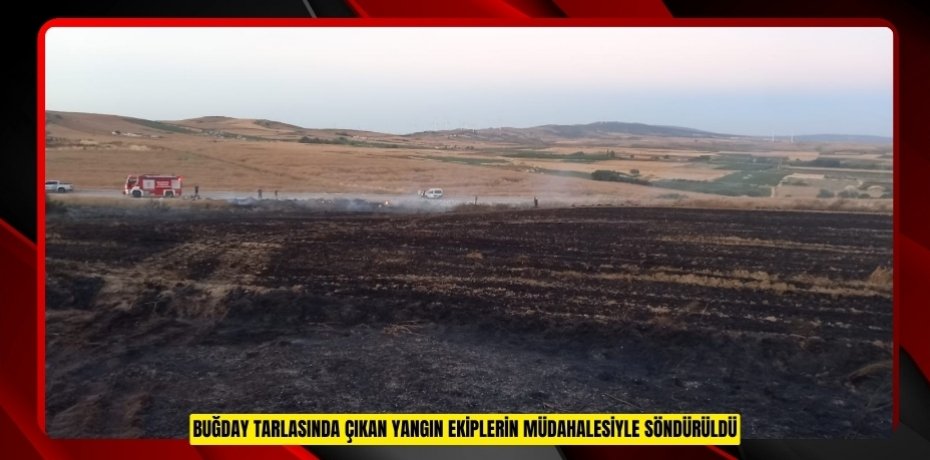 Buğday tarlasında çıkan yangın ekiplerin müdahalesiyle söndürüldü  