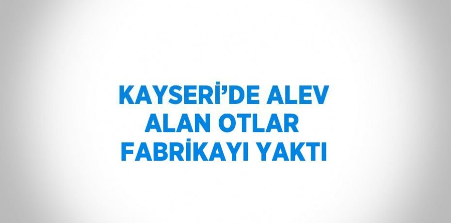 KAYSERİ’DE ALEV ALAN OTLAR FABRİKAYI YAKTI