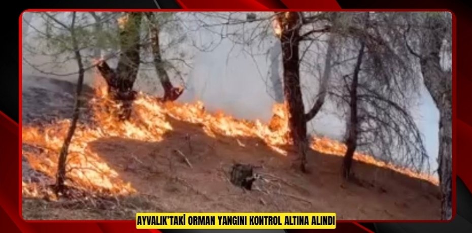 Ayvalık’taki orman yangını kontrol altına alındı  