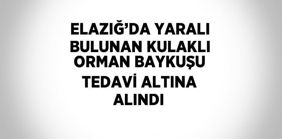 ELAZIĞ’DA YARALI BULUNAN KULAKLI ORMAN BAYKUŞU TEDAVİ ALTINA ALINDI