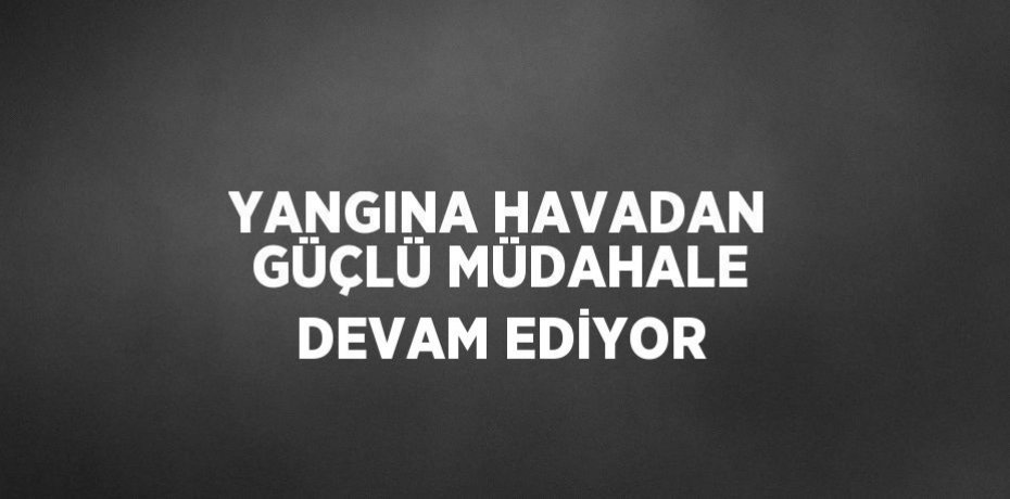 YANGINA HAVADAN GÜÇLÜ MÜDAHALE DEVAM EDİYOR