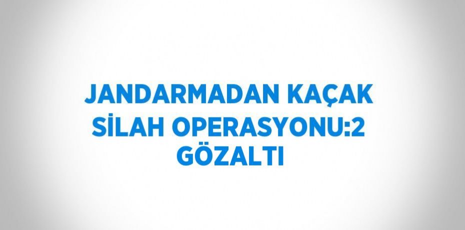 JANDARMADAN KAÇAK SİLAH OPERASYONU:2 GÖZALTI