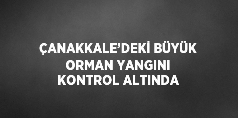 ÇANAKKALE’DEKİ BÜYÜK ORMAN YANGINI KONTROL ALTINDA