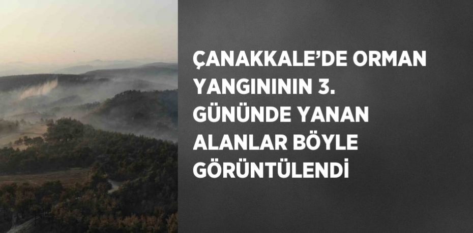 ÇANAKKALE’DE ORMAN YANGINININ 3. GÜNÜNDE YANAN ALANLAR BÖYLE GÖRÜNTÜLENDİ