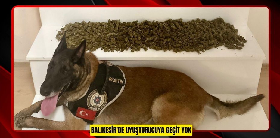 BALIKESİR'DE UYUŞTURUCUYA GEÇİT YOK
