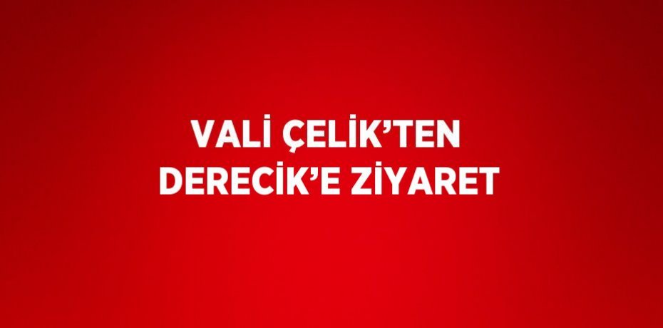 VALİ ÇELİK’TEN DERECİK’E ZİYARET