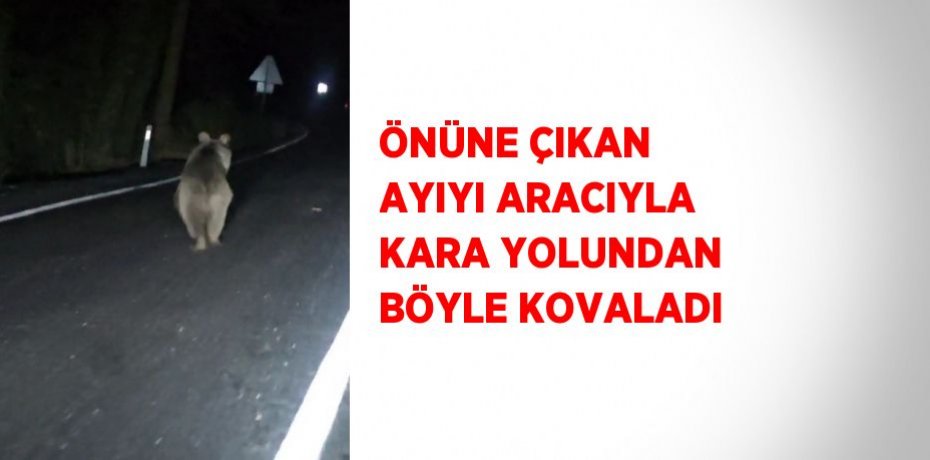 ÖNÜNE ÇIKAN AYIYI ARACIYLA KARA YOLUNDAN BÖYLE KOVALADI
