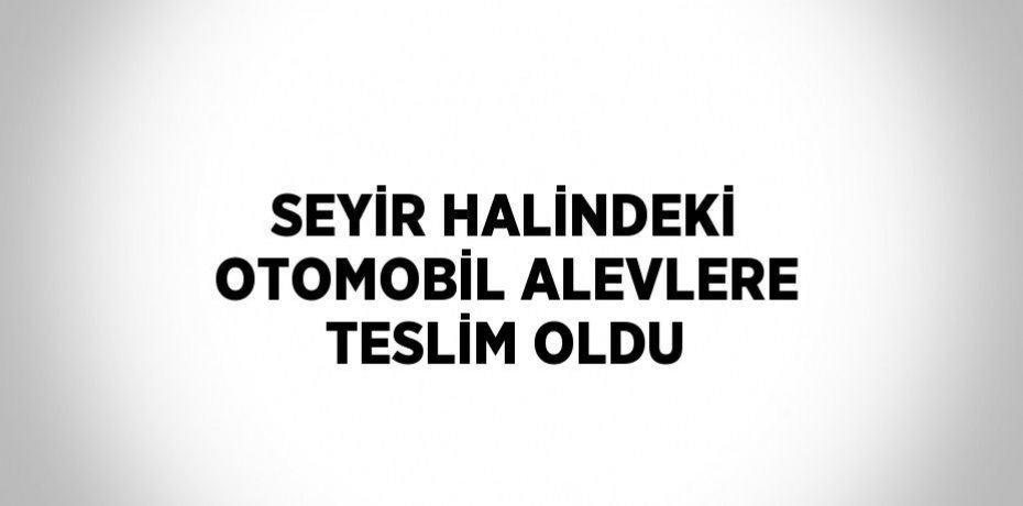 SEYİR HALİNDEKİ OTOMOBİL ALEVLERE TESLİM OLDU