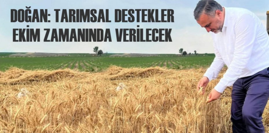 DOĞAN: TARIMSAL DESTEKLER EKİM ZAMANINDA VERİLECEK