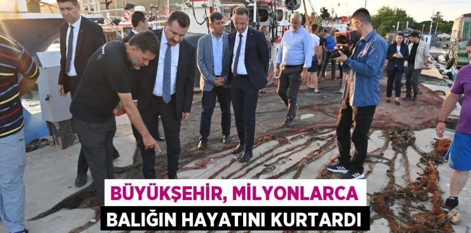 Büyükşehir, milyonlarca balığın hayatını kurtardı