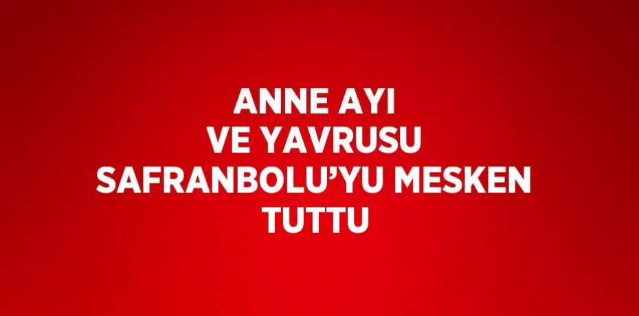 ANNE AYI VE YAVRUSU SAFRANBOLU’YU MESKEN TUTTU