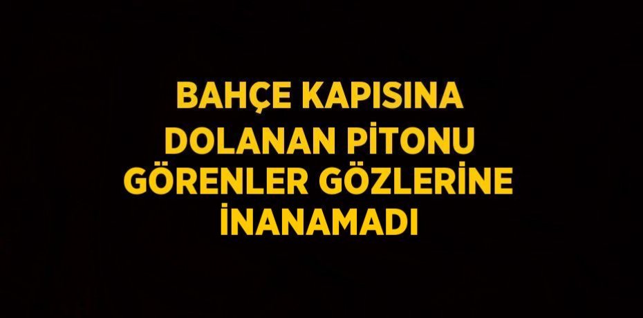BAHÇE KAPISINA DOLANAN PİTONU GÖRENLER GÖZLERİNE İNANAMADI