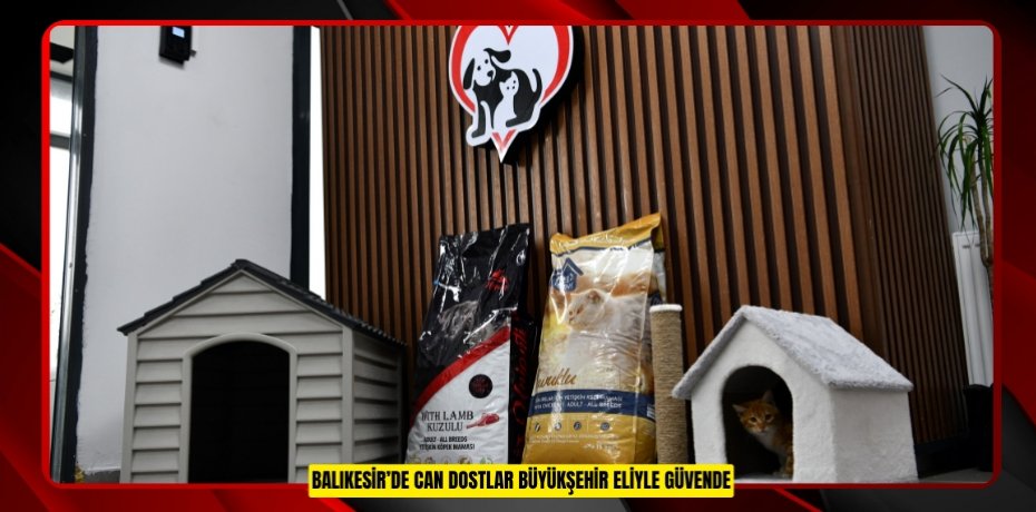 BALIKESİR’DE CAN DOSTLAR BÜYÜKŞEHİR ELİYLE GÜVENDE